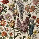 Lithograph on garden flowers - 1920