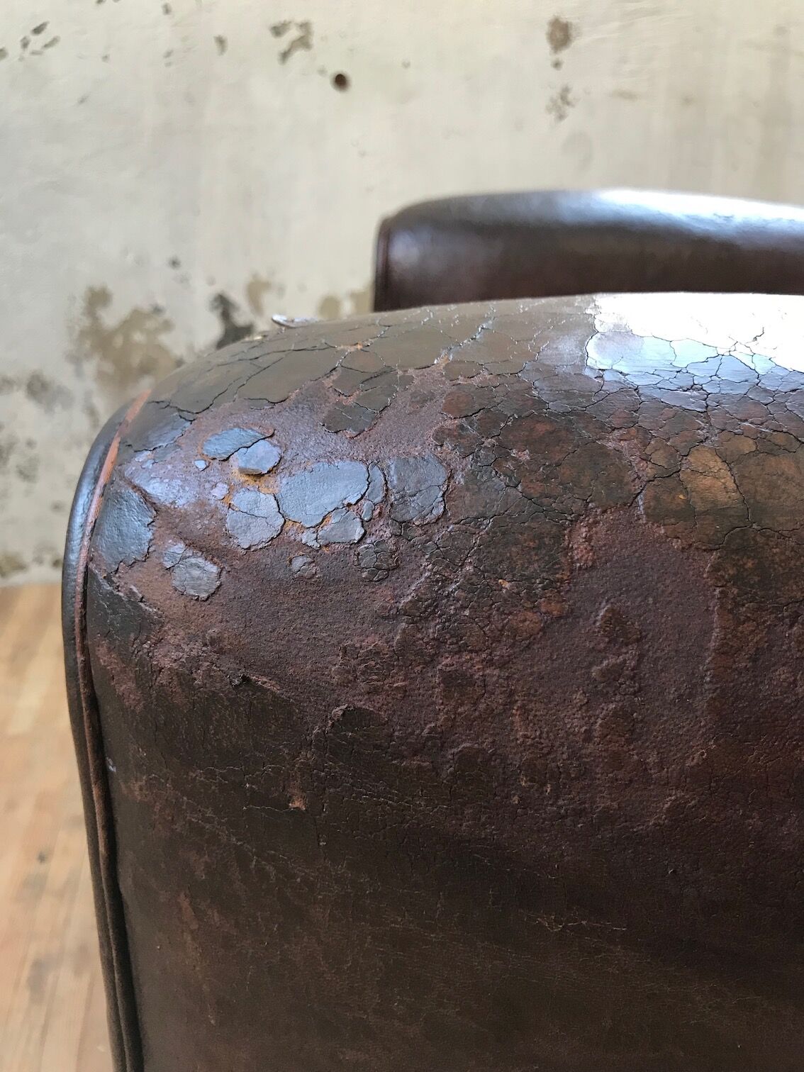 Leather club Armchair