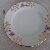 6 flat flowered plates