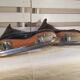 Former NHL Hockey Skates - Daoust Pro Model Canada - Vintage Sports Deco