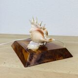 Vintage shell lamp with wooden base
