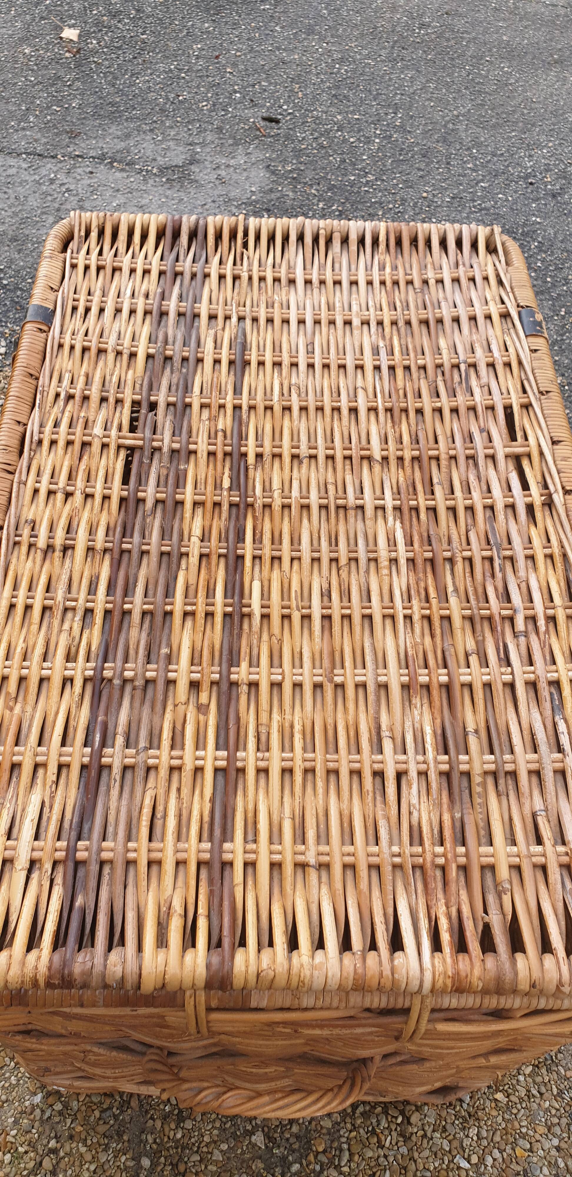 Rattan trunk