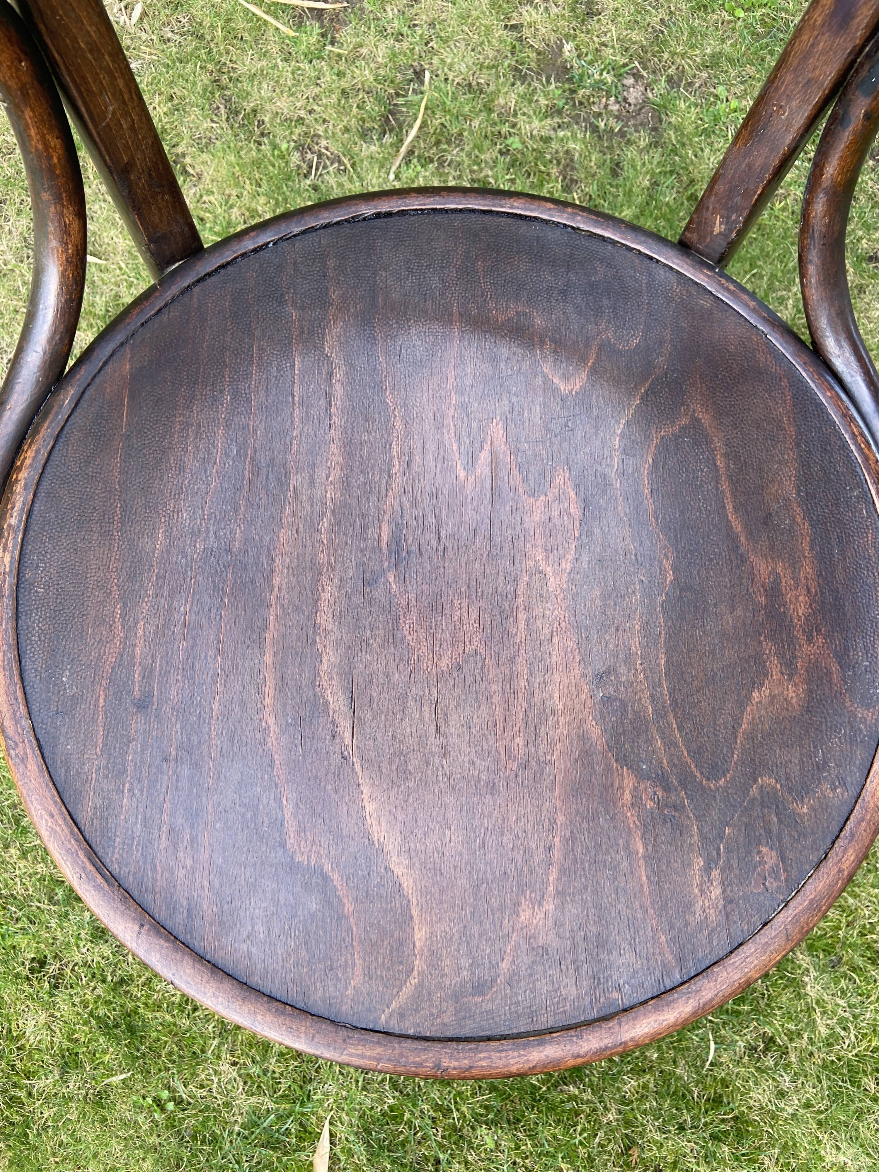 Viennese curved wood armchair JJ Kohn Bentwood