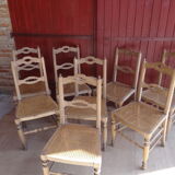 Suite of oak chairs; canated seats