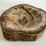 Petrified wooden ashtray