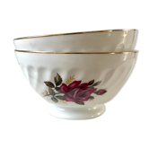 Duo of vintage flower bowls
