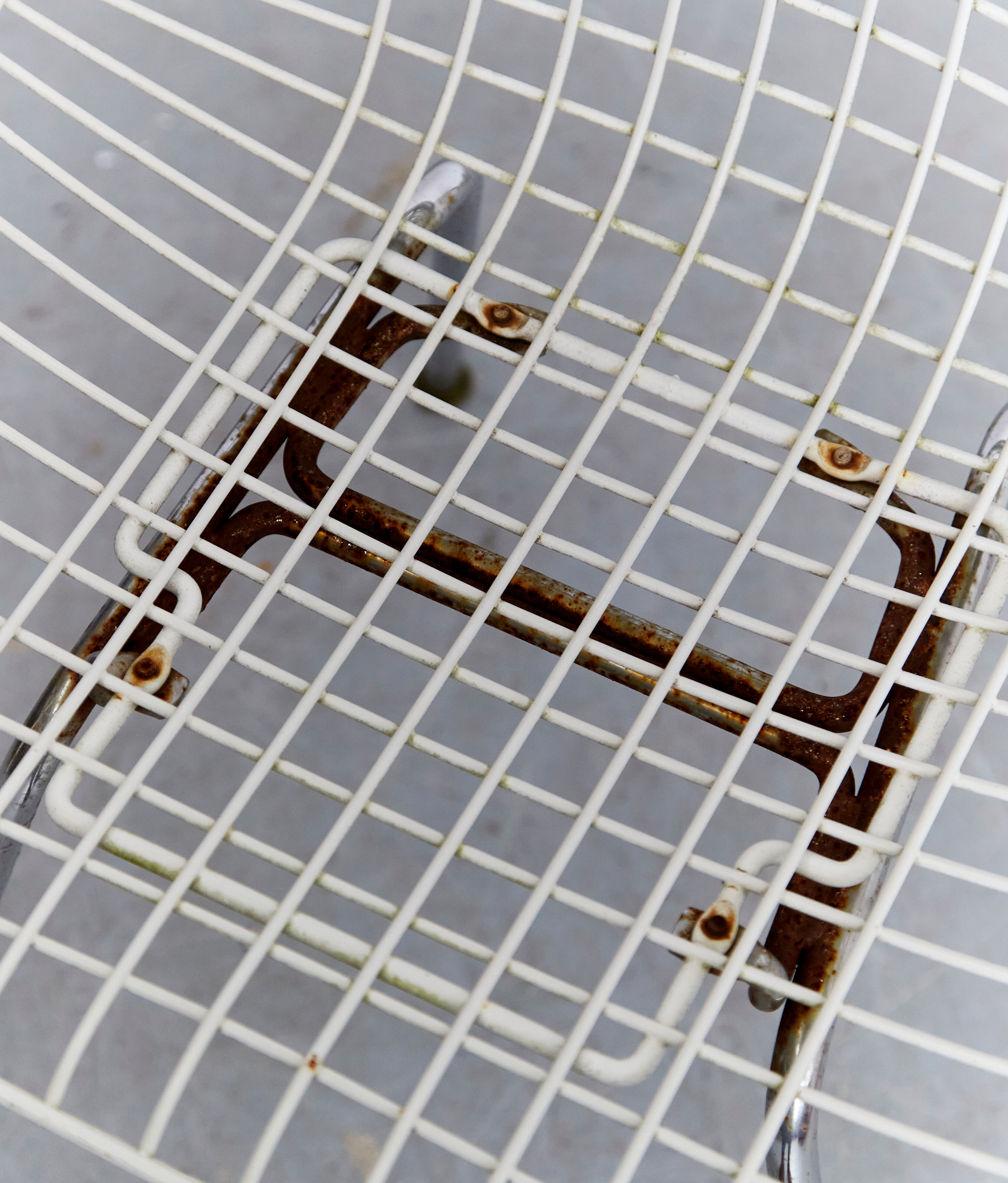 DKR Wire Dining Chairs by Charles & Ray Eames for Herman Miller