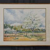 Watercolor by Robert Lange Spring 20th