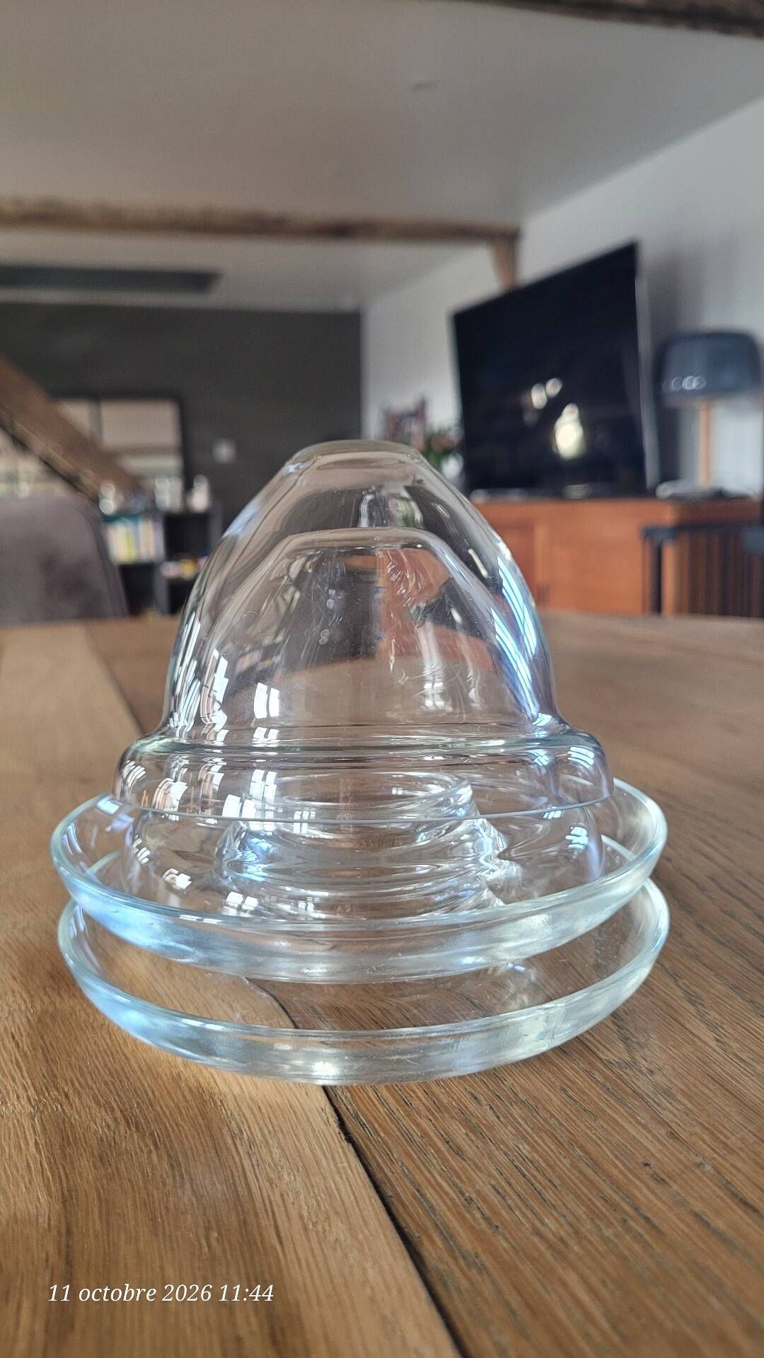 2 egg cups with matching glass cloches in transparent glass