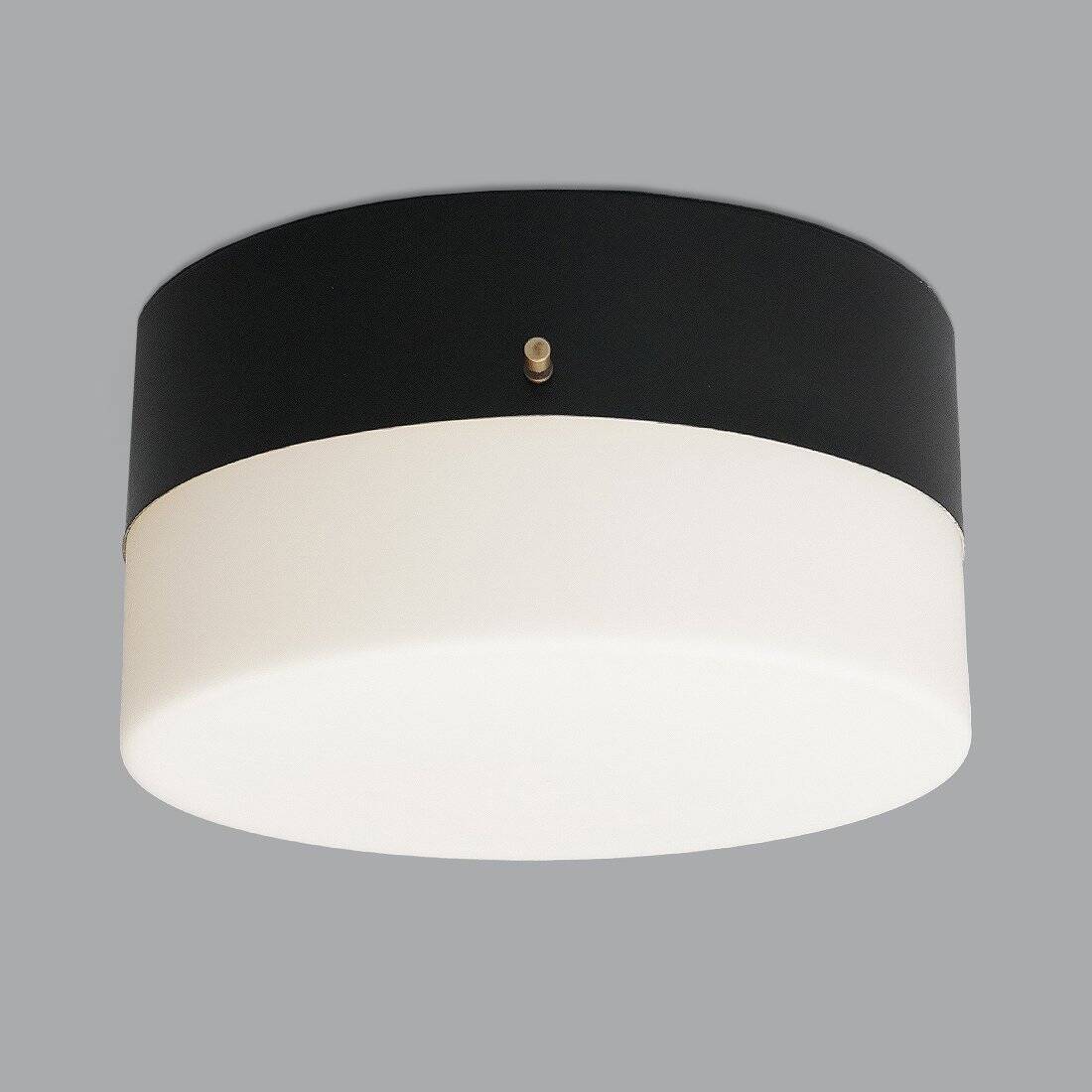 Vintage Opaline Glass Chandelier, 1950s