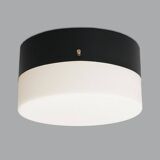 Vintage Opaline Glass Chandelier, 1950s