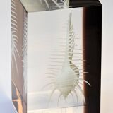 INCLUSION Vintage RESIN SHELL MUREX curiosity cabinet