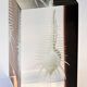 INCLUSION Vintage RESIN SHELL MUREX curiosity cabinet