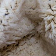 Handmade traditional Moroccan wool rug size 150x250 cm.