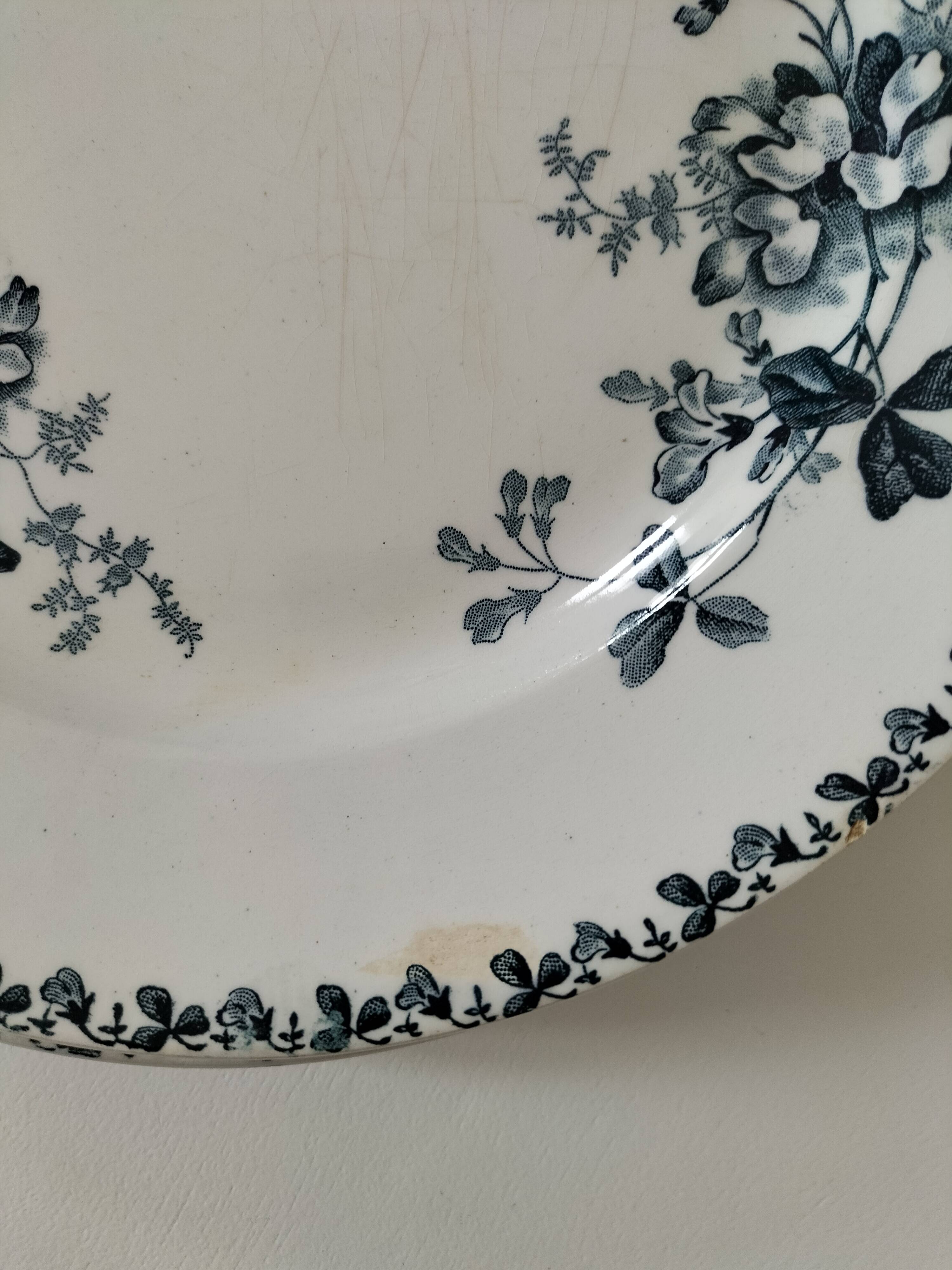 Set of 10 ironstone plates Moulin des Loups Acacia