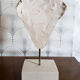 Head on plaster base