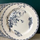 Set of 6 plates Sarreguemines Terre de Fer Model Carmen