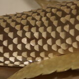 Fish Horn - Vintage 60s/70s