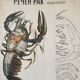 Crayfish vintage anatomy poster wall board from 1960's