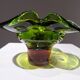Vintage bowl by F.Zemek 1960s