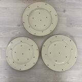 Bohemia Royal Ivory porcelain dinnerware set 1900
