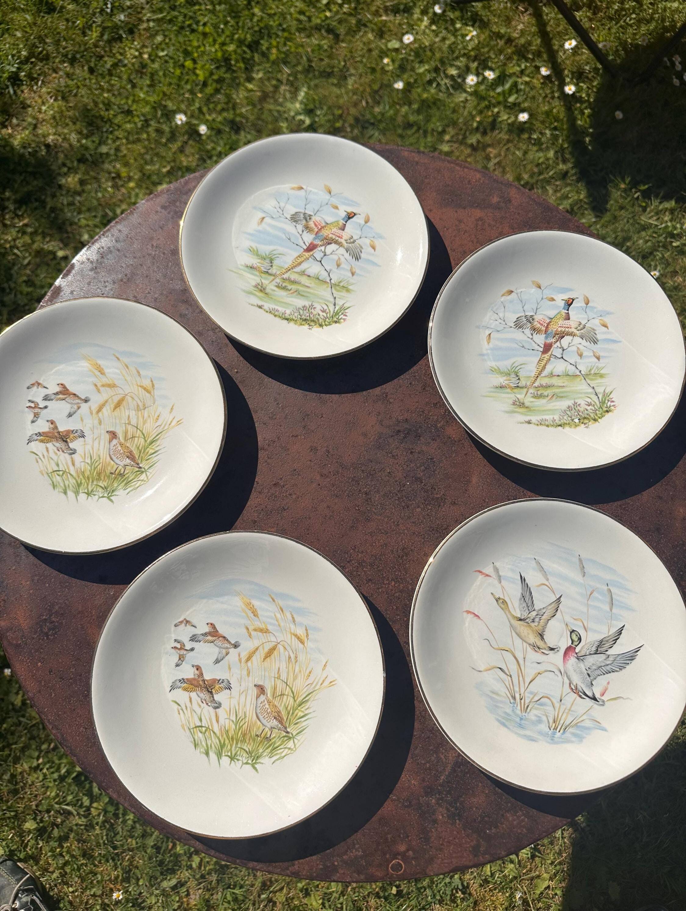 Set of 5 flat plates in Gien earthenware, Primefleur collection.