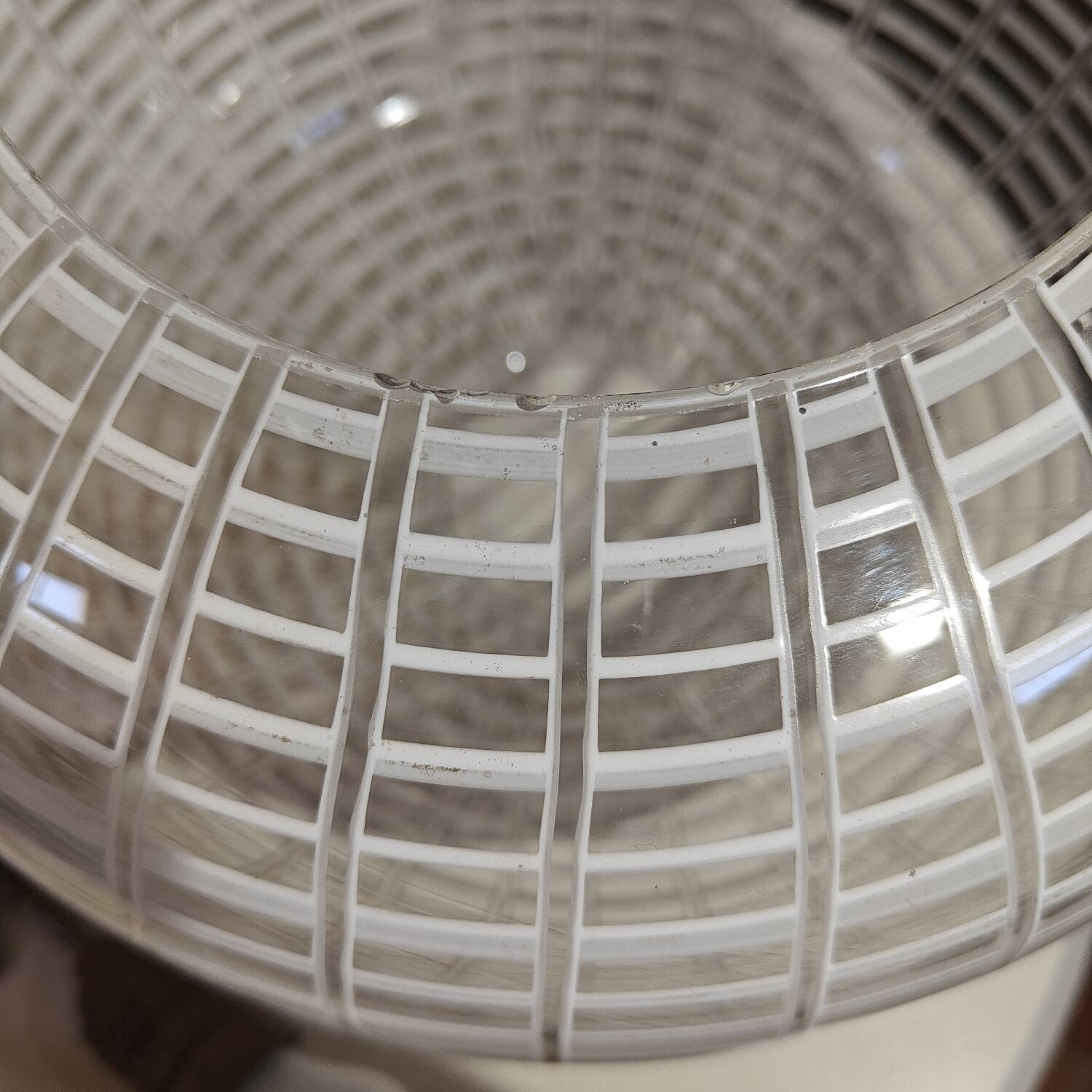 Suspension of Nerves by Gangkofner for Peill and Putzler 1950