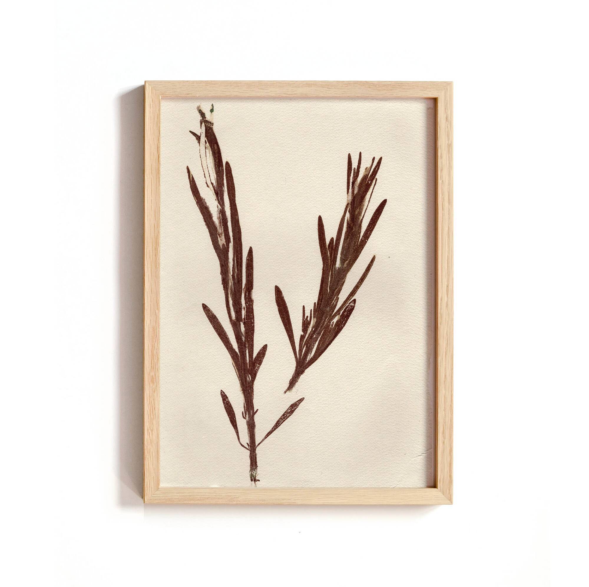 Collection de peintures herbiers sur papier signées Eawy