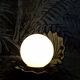 Shell lamp 1980