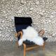 Pernilla armchair in black canvas by Bruno Mathsson, Dux, Sweden 1970