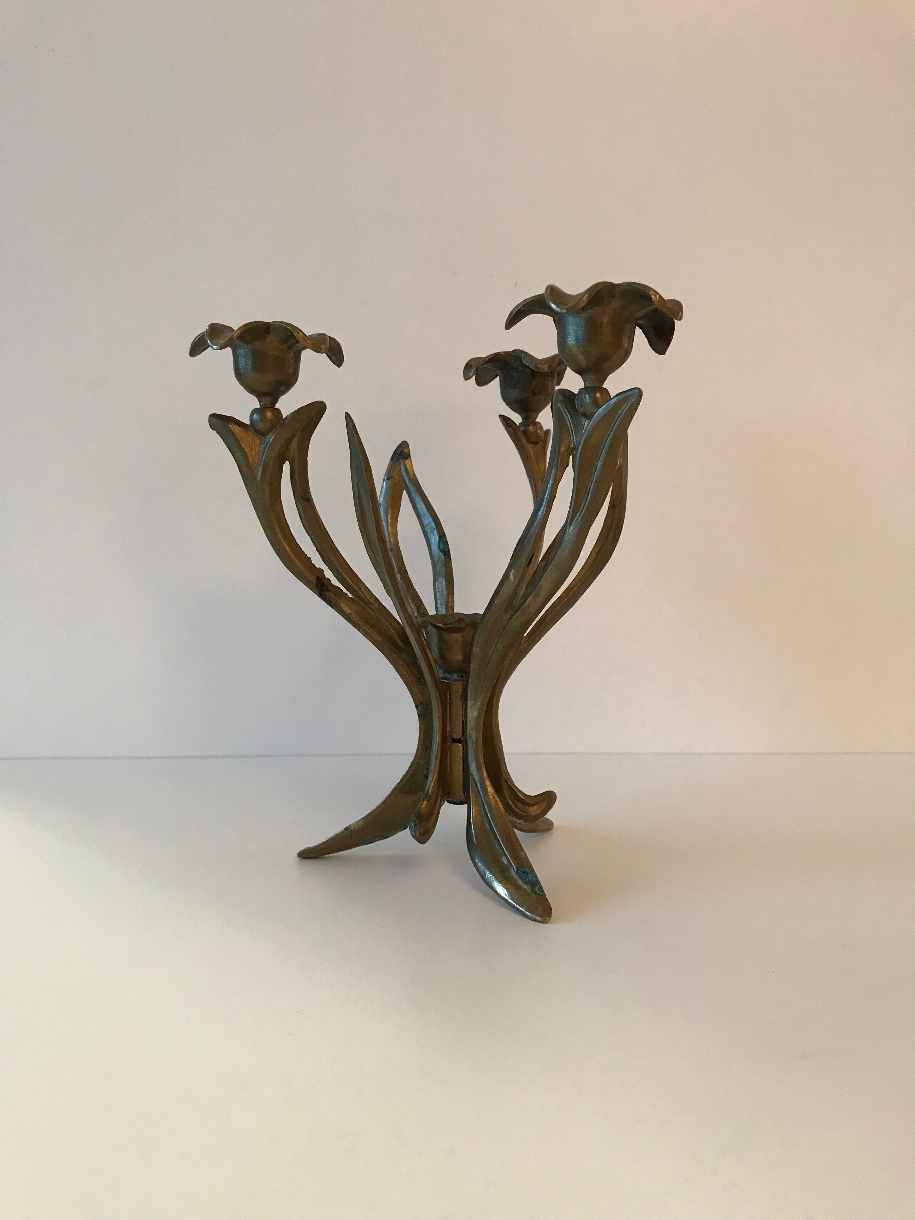 Candlestick lily flowers