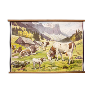 Affiche Vaches grille éducatif