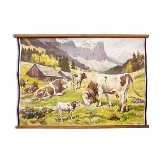 Affiche "Vaches" grille éducatif Franz Roubal 1925