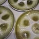 6 oyster/shellfish plates from Moulin des Loups in very good condition.