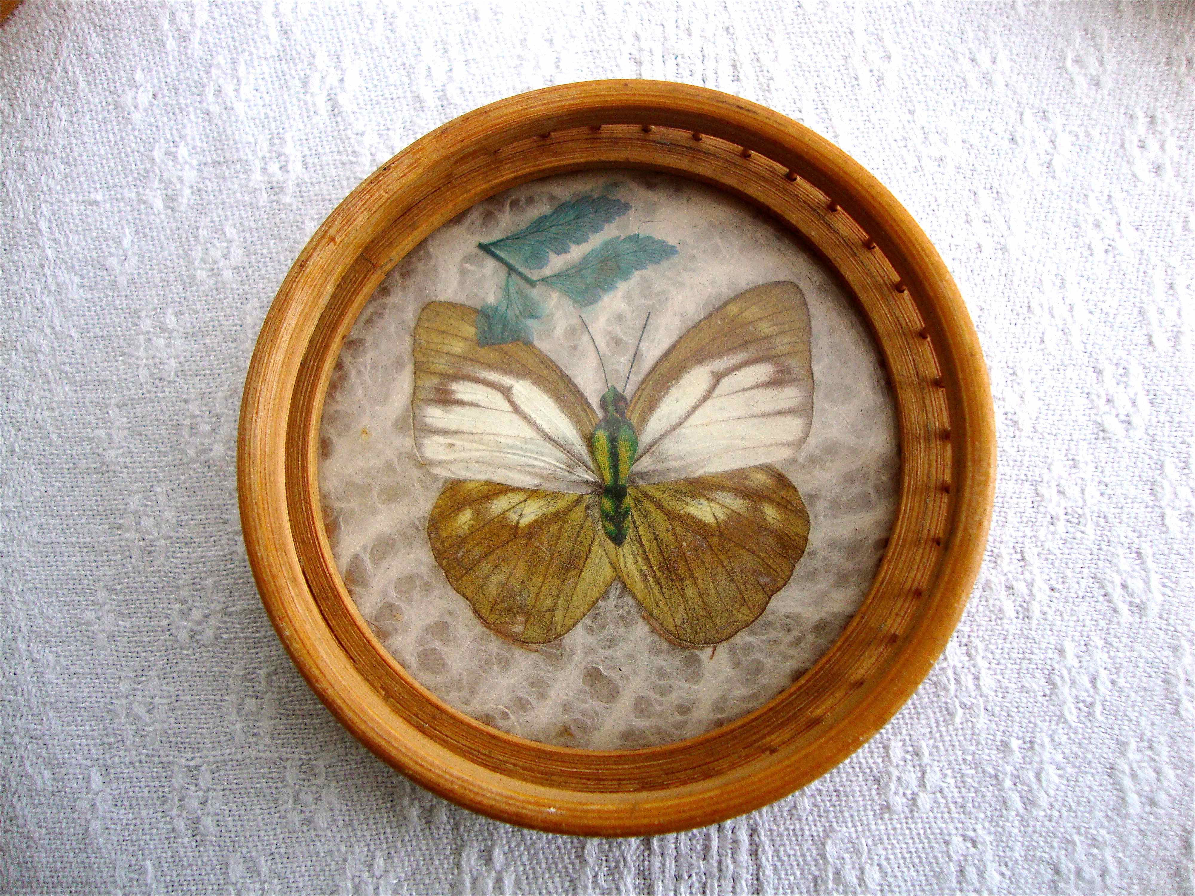 Butterfly tray and coasters