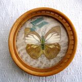 Butterfly tray and coasters