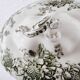 Soupière en porcelaine anglaise Doulton Brurslem avec motif de rose et Waratah, 1920