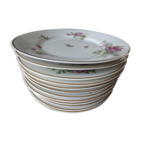 12 Plates pattern flowers in Limoges porcelain