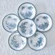 Old ironstone plates from St Amand "Margot" collection