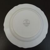 Arcopal hollow plates blue flowers model Veronica