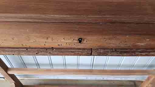 Old jewelry showcase