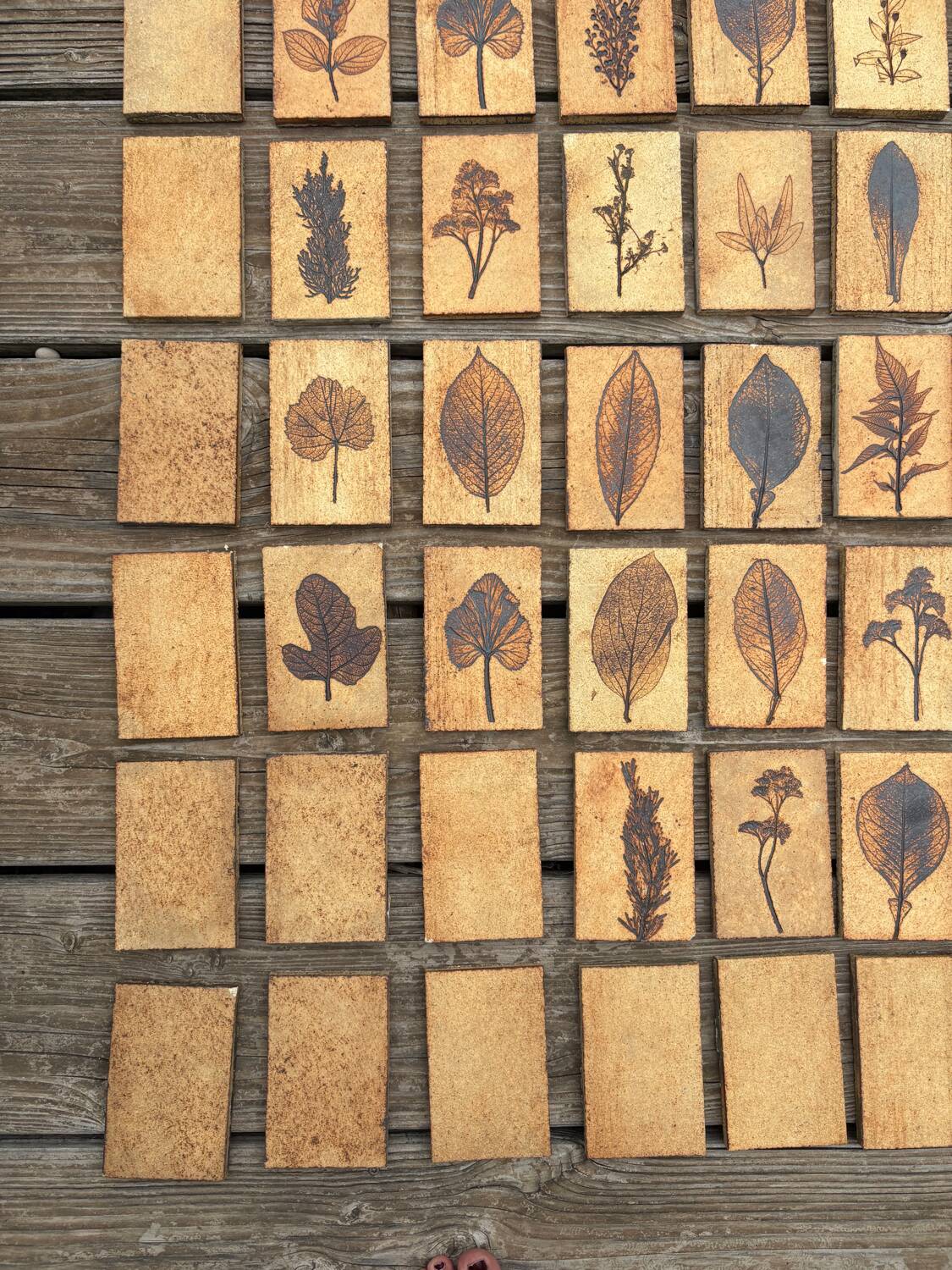 Set of 52 Vallauris herbarium tiles signed Capron