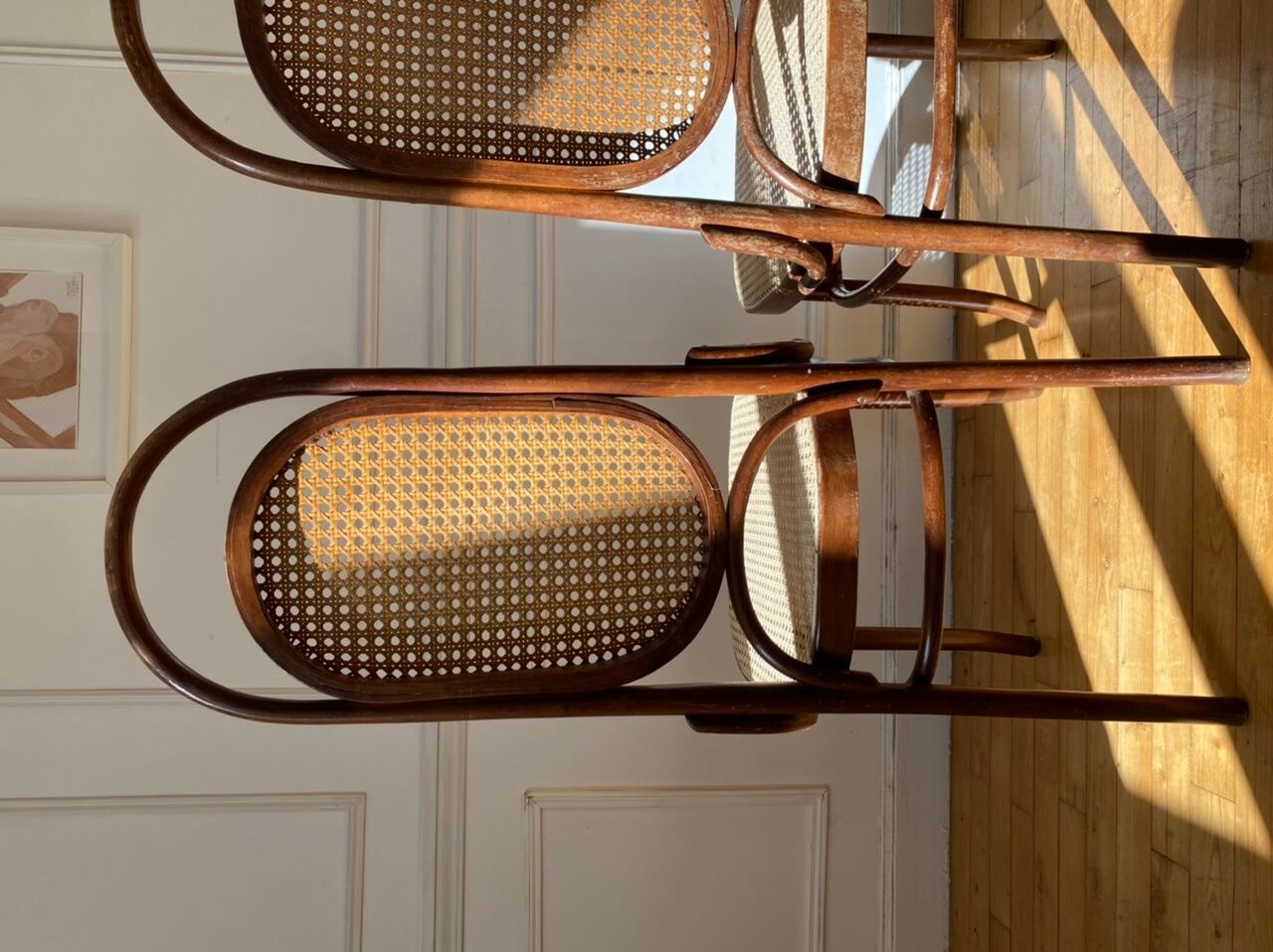 Pair of chairs Thonet 17 reissue FMG