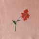 Nappe ancienne en lin épais brodé main rose 170x130 cm – Pièce unique