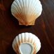 Ceramic shell 1960