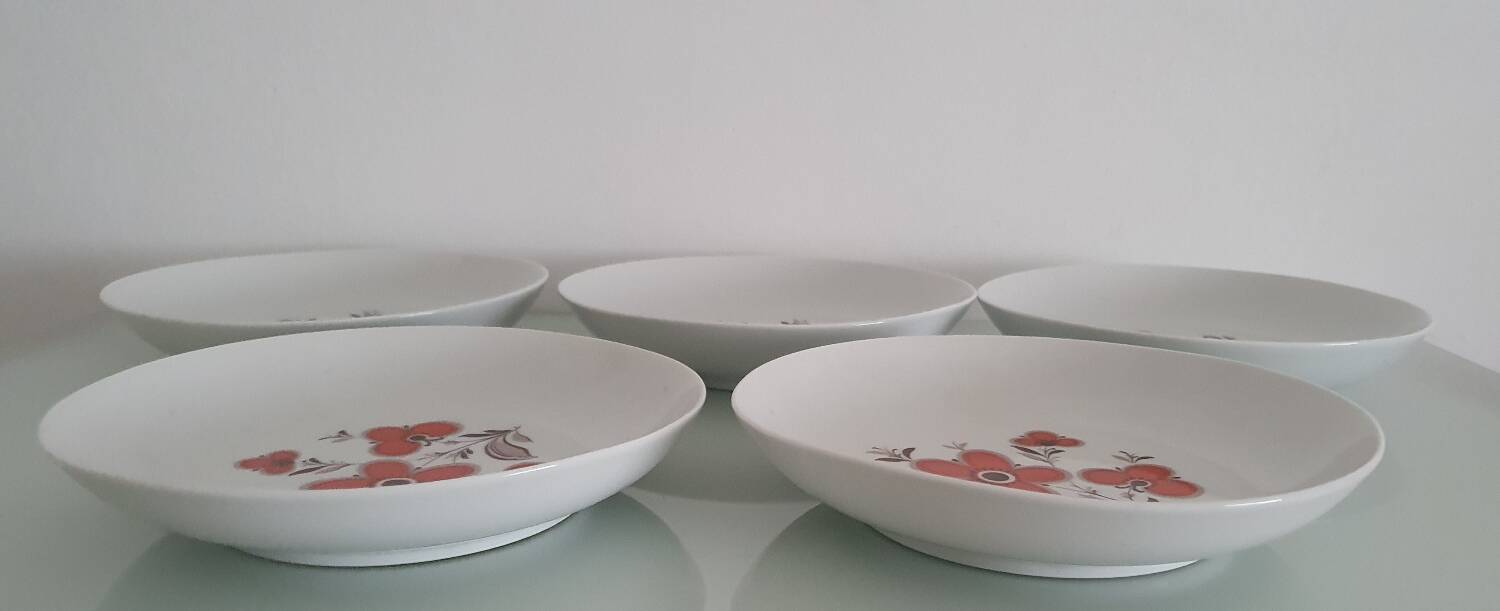 Set of 5 soup plates - Arzberg Earthenware - 1960/70