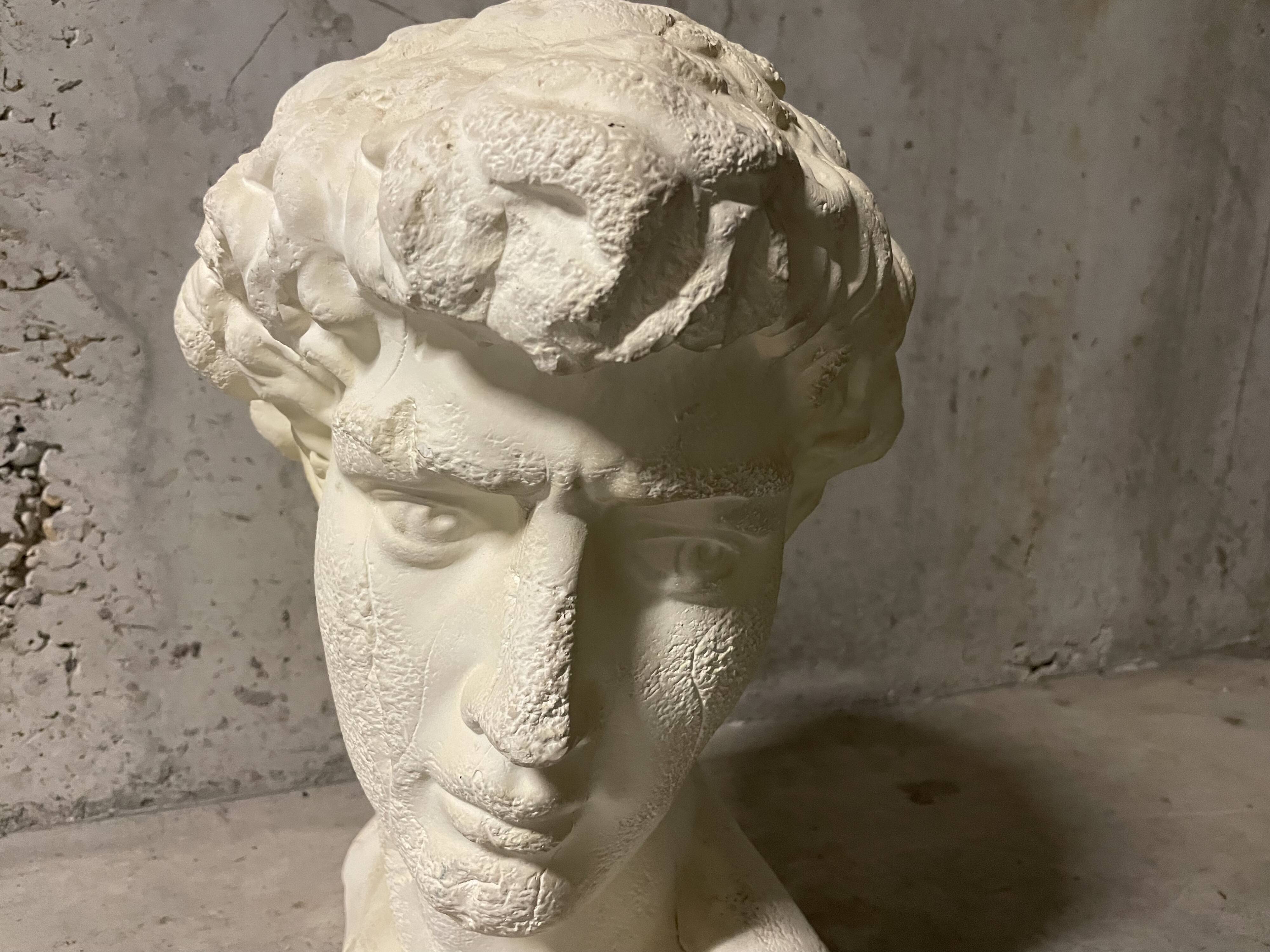 Bust of David