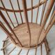 Rattan plant holder