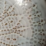 Nice batch of plates