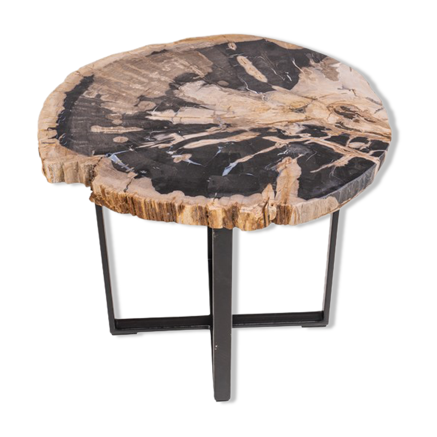 Table living room petrified wood